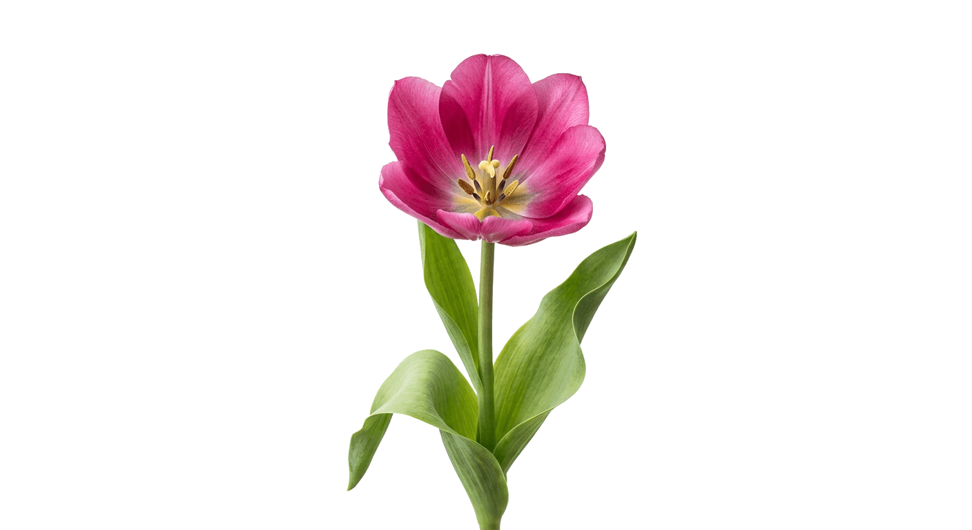 Grow